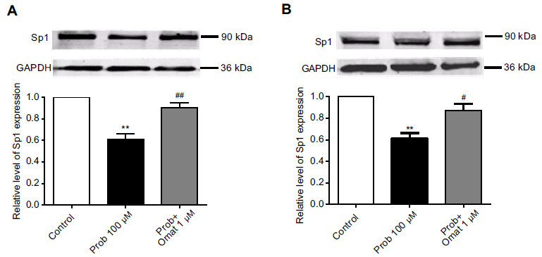 Fig. (4)