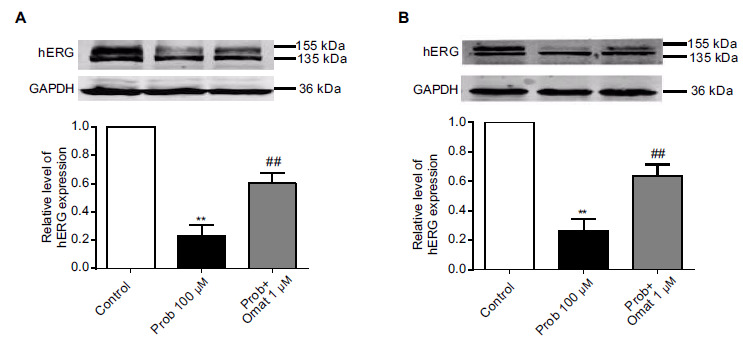 Fig. (1)