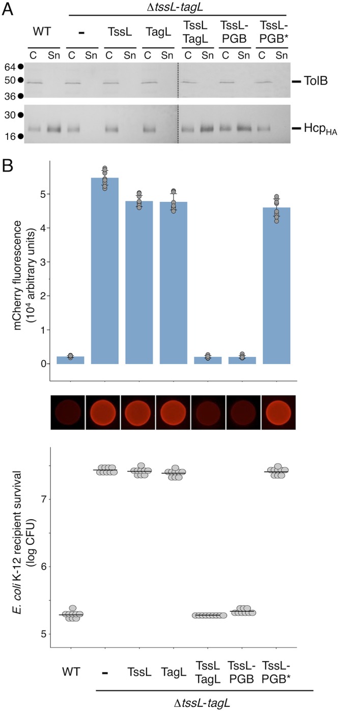 FIG 2