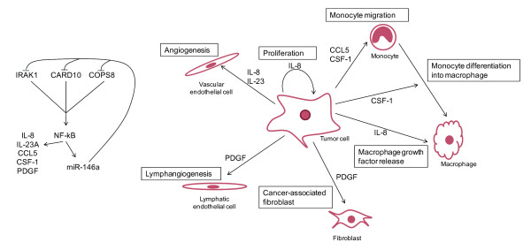 Figure 9