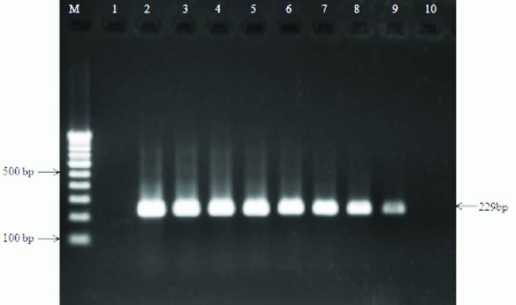 [Table/Fig-6]: