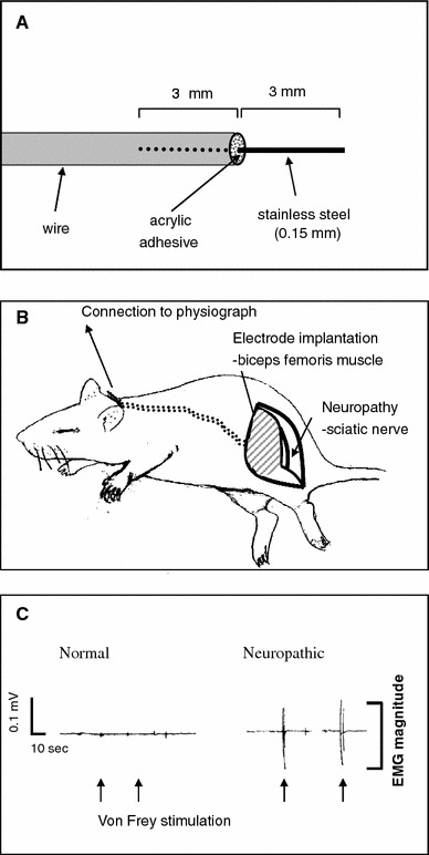 Fig. 1