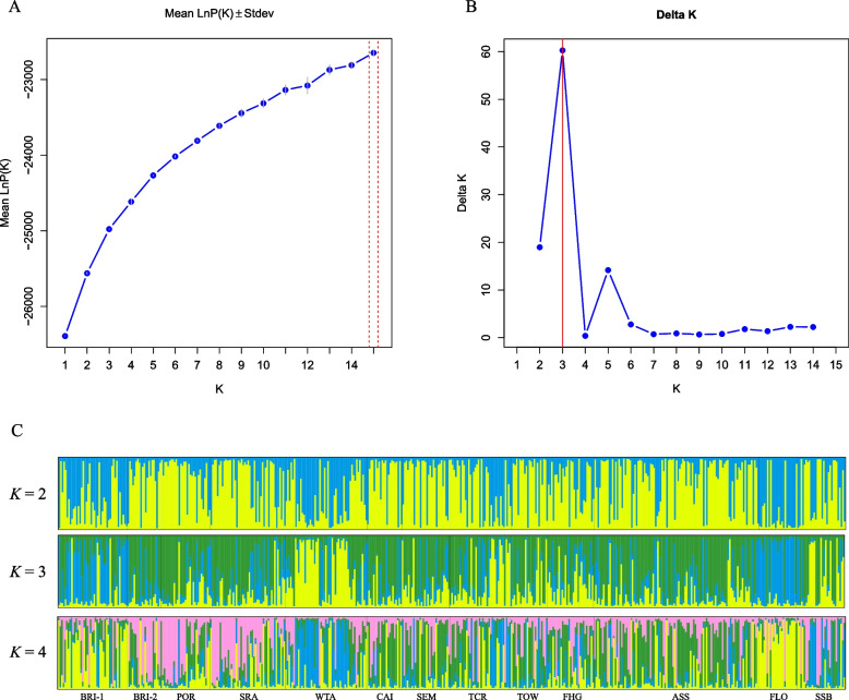 Fig. 1