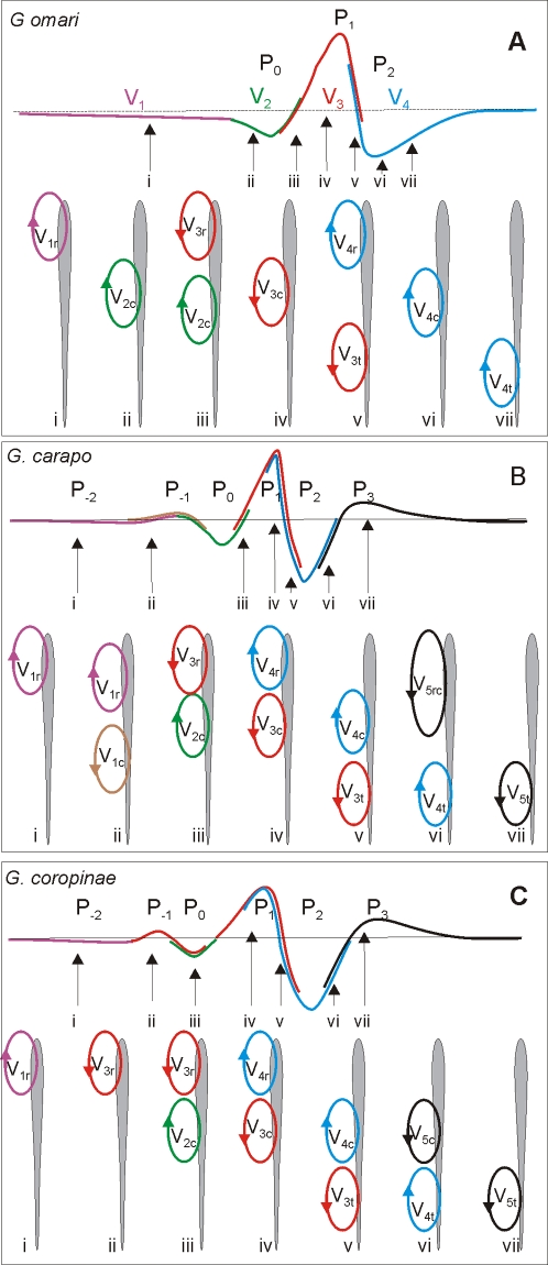 Figure 8