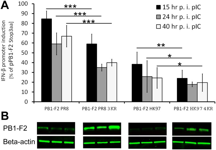 Fig 8