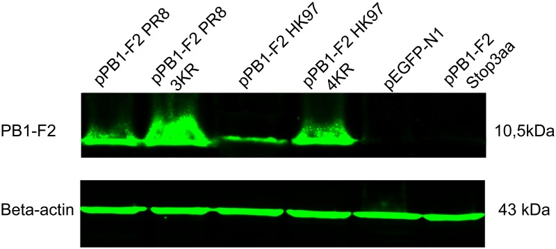 Fig 5