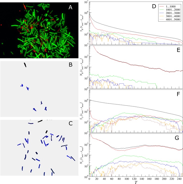 Fig 12