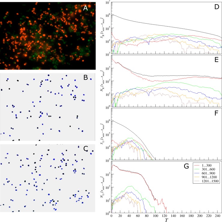 Fig 11