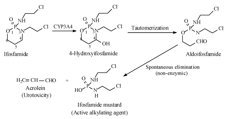 Figure 31