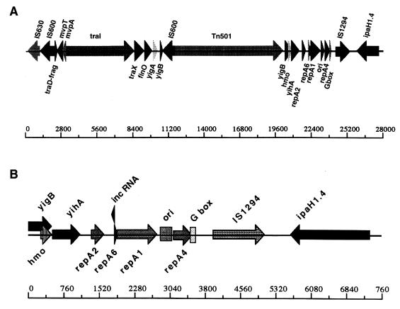 FIG. 6