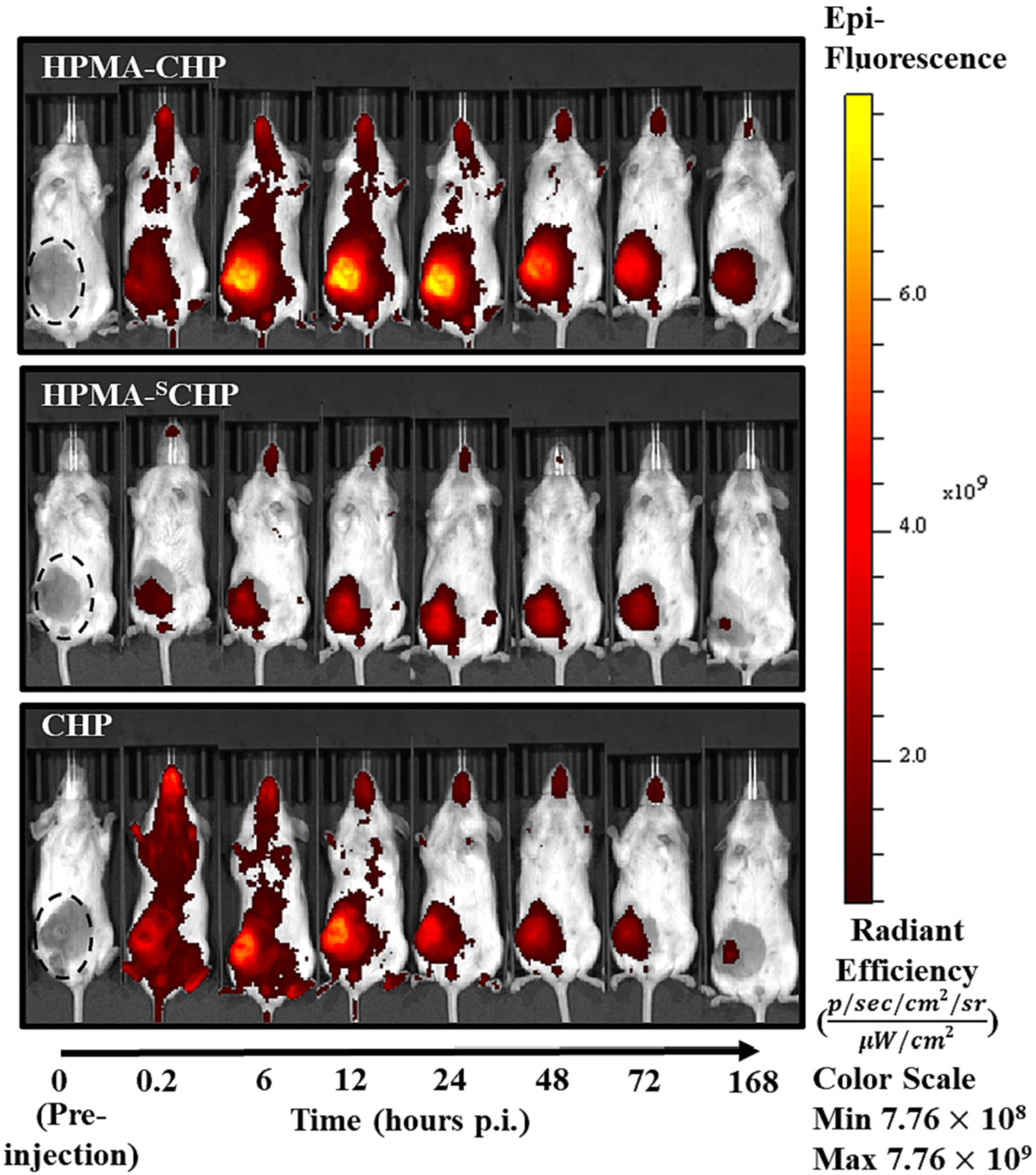 Fig. 6.