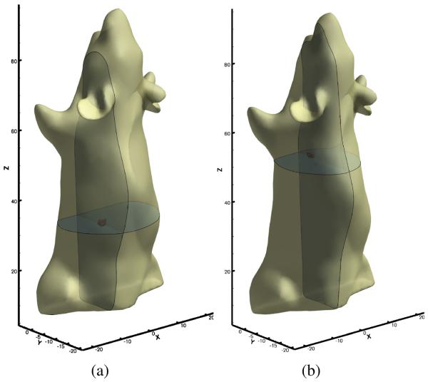 Fig. 8