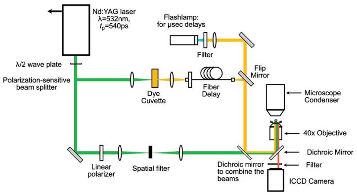 Fig. 2