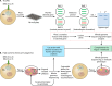 FIG 2