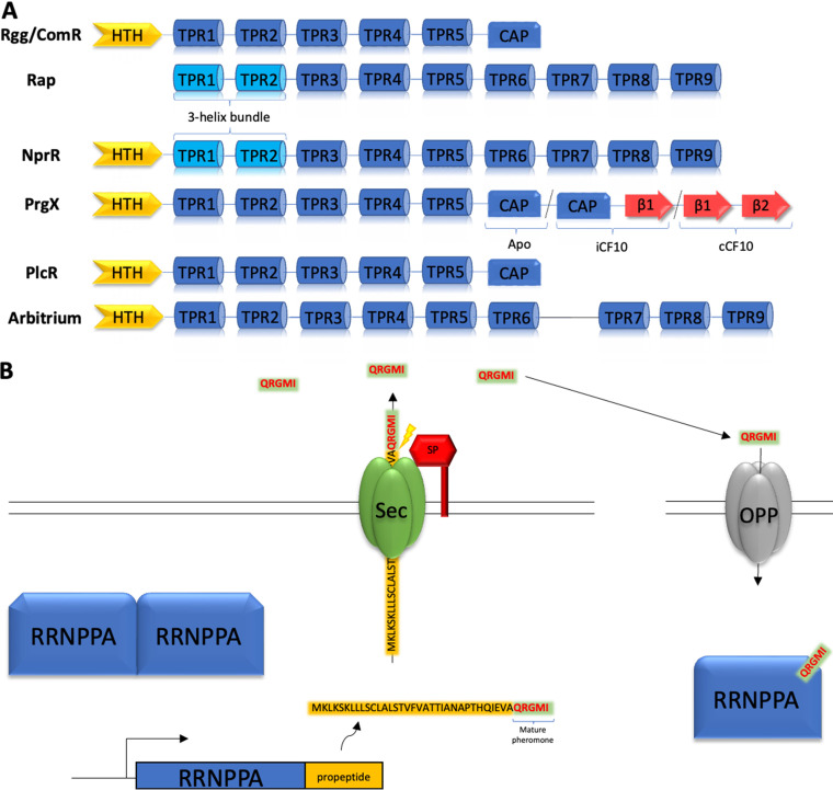 FIG 1