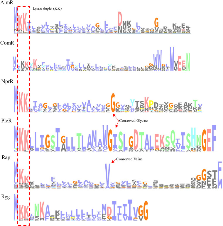 FIG 6