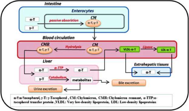 Figure 6.