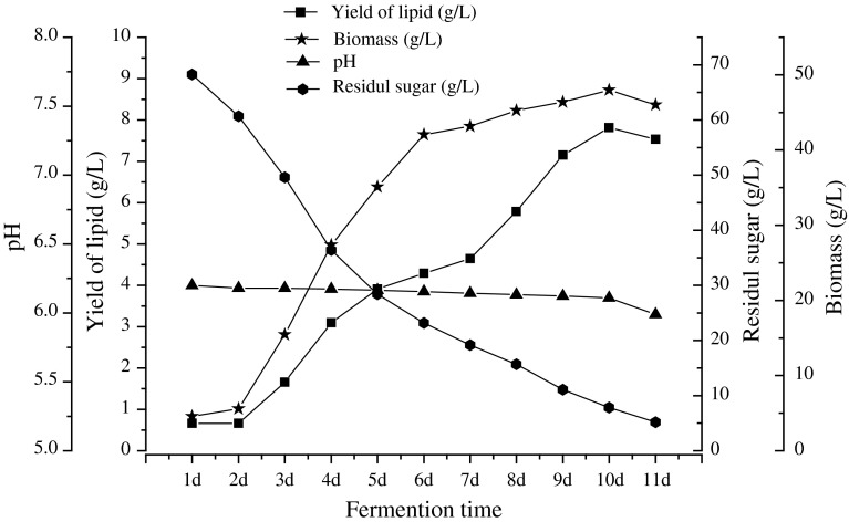 Fig. 7