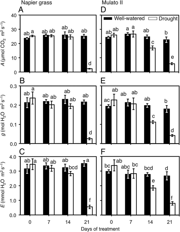 Figure 4.