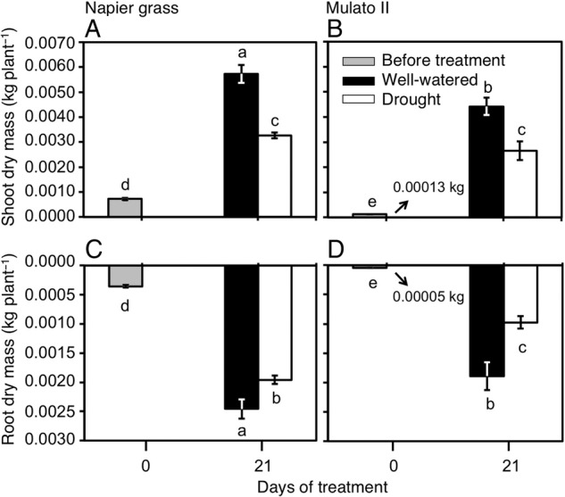 Figure 5.