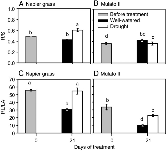 Figure 10.