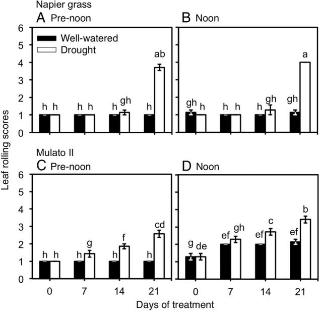 Figure 3.