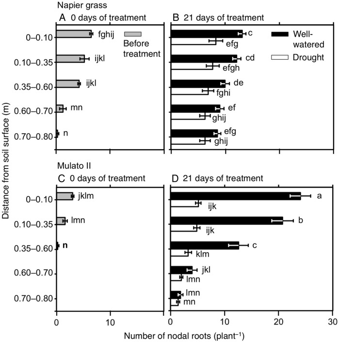 Figure 6.