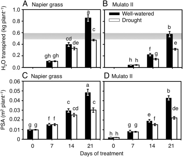 Figure 1.