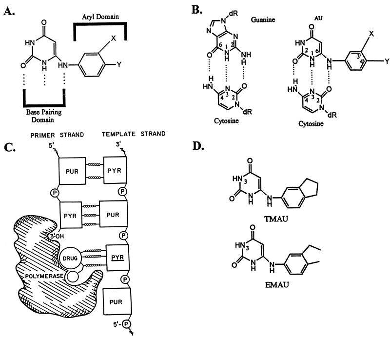 FIG. 1