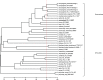 FIG 1