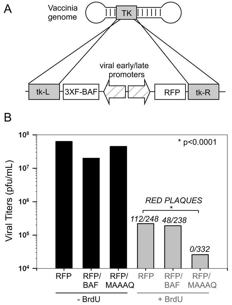 Fig 5