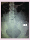 <b>Figure 4.</b>