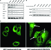 Figure 1-6917