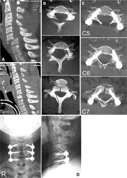 Fig. 5