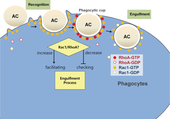 Fig 5