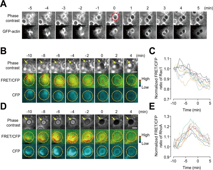 Fig 3