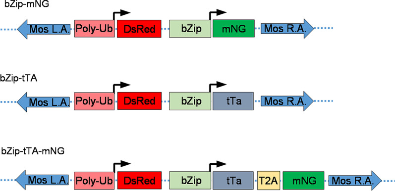 Fig. 2