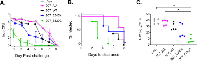 FIG 4