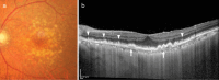 Fig. 8