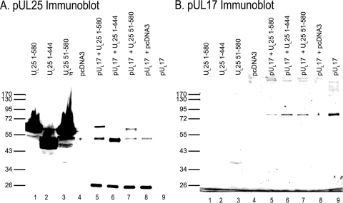 FIG. 11.