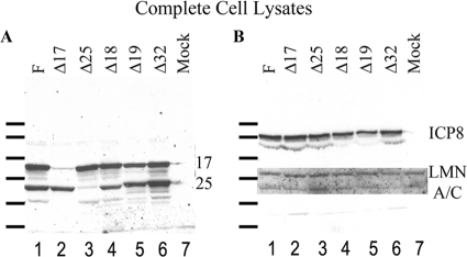 FIG. 5.