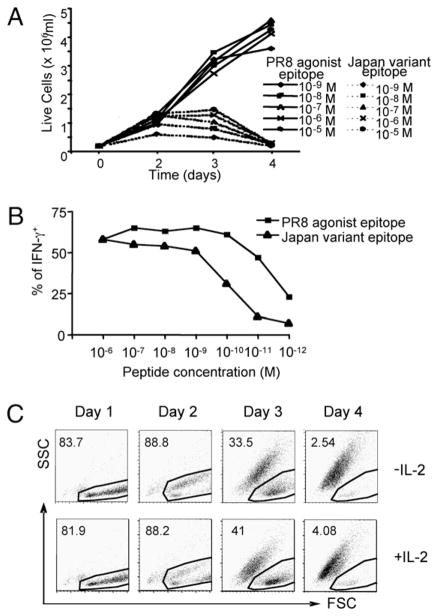 FIGURE 3