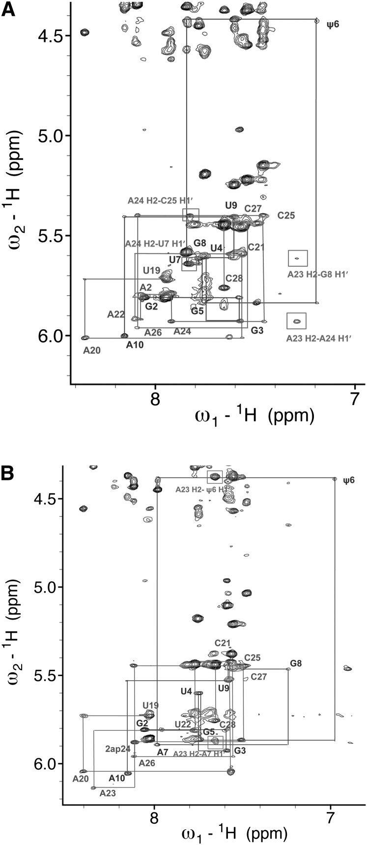 FIGURE 4.