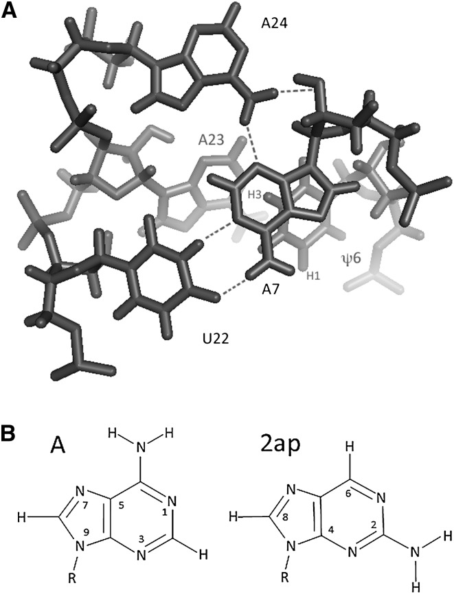 FIGURE 1.