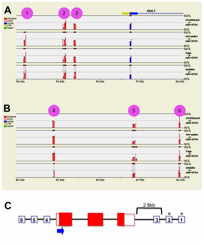 Figure 5