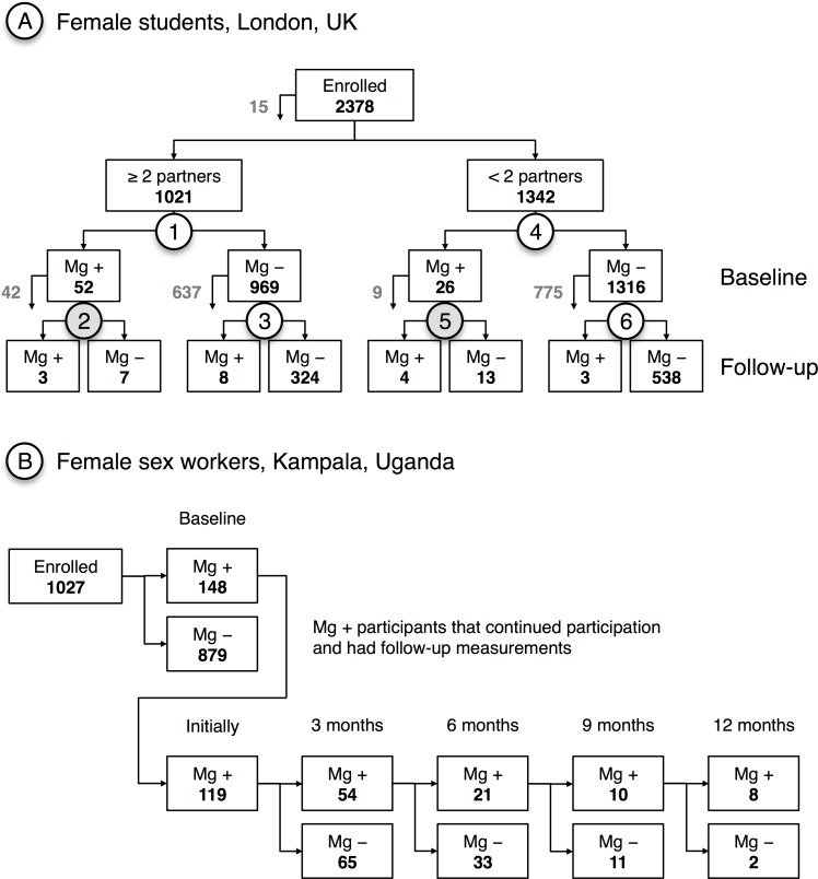 Fig 1