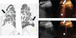 Fig.4