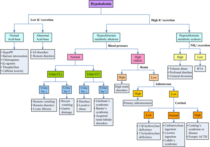 Hypokalemic paralysis in hyperthyroidism: Not all that glitter are gold ...