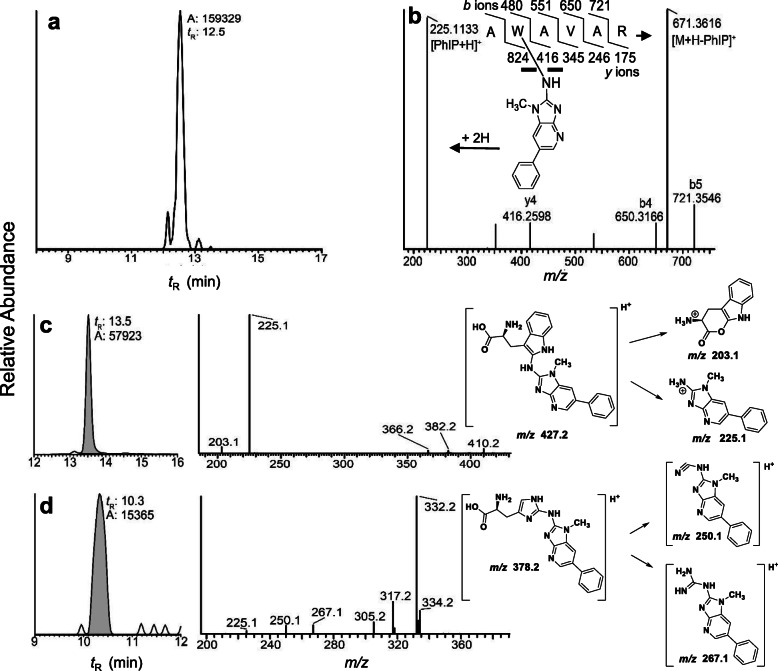 Fig. 13