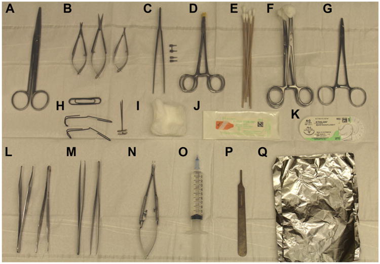 Fig 2